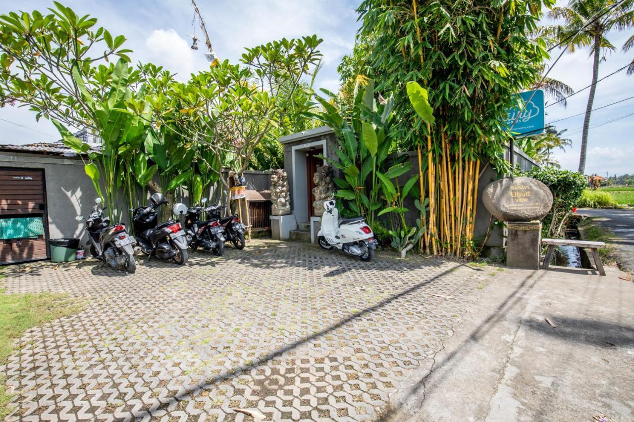 Sisin Ubud View Ngoại thất bức ảnh