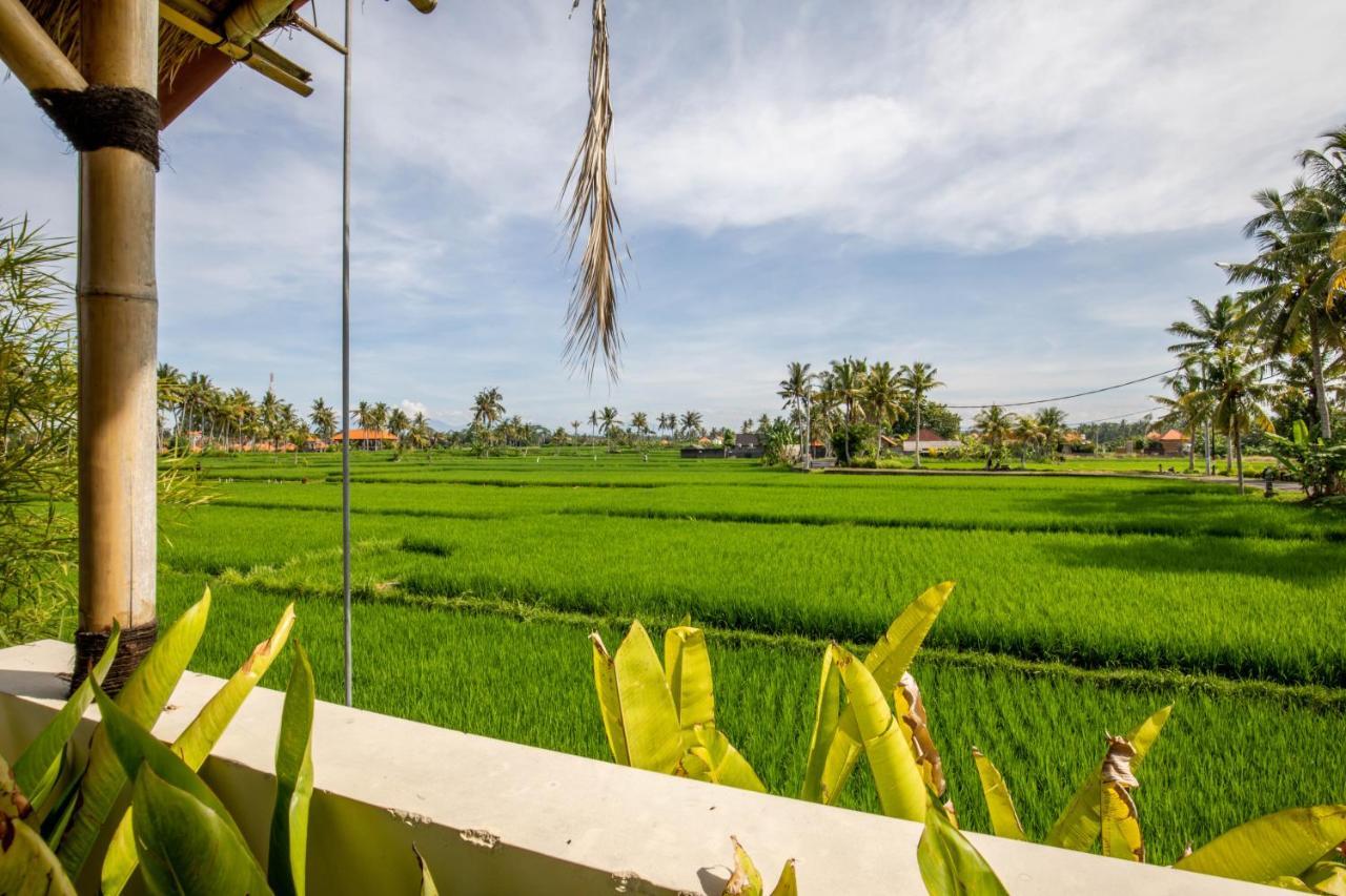 Sisin Ubud View Ngoại thất bức ảnh